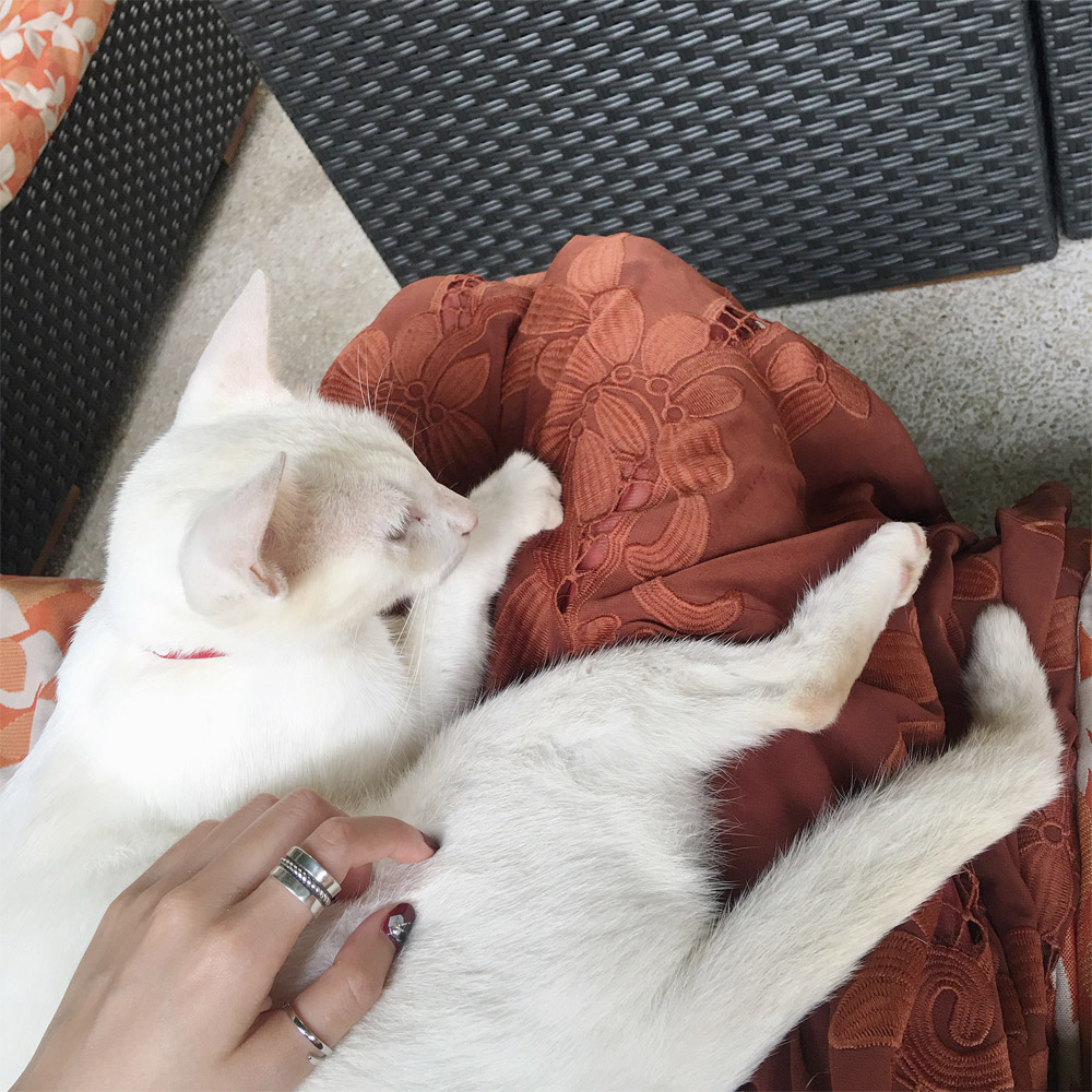 A013麻花情侣戒指